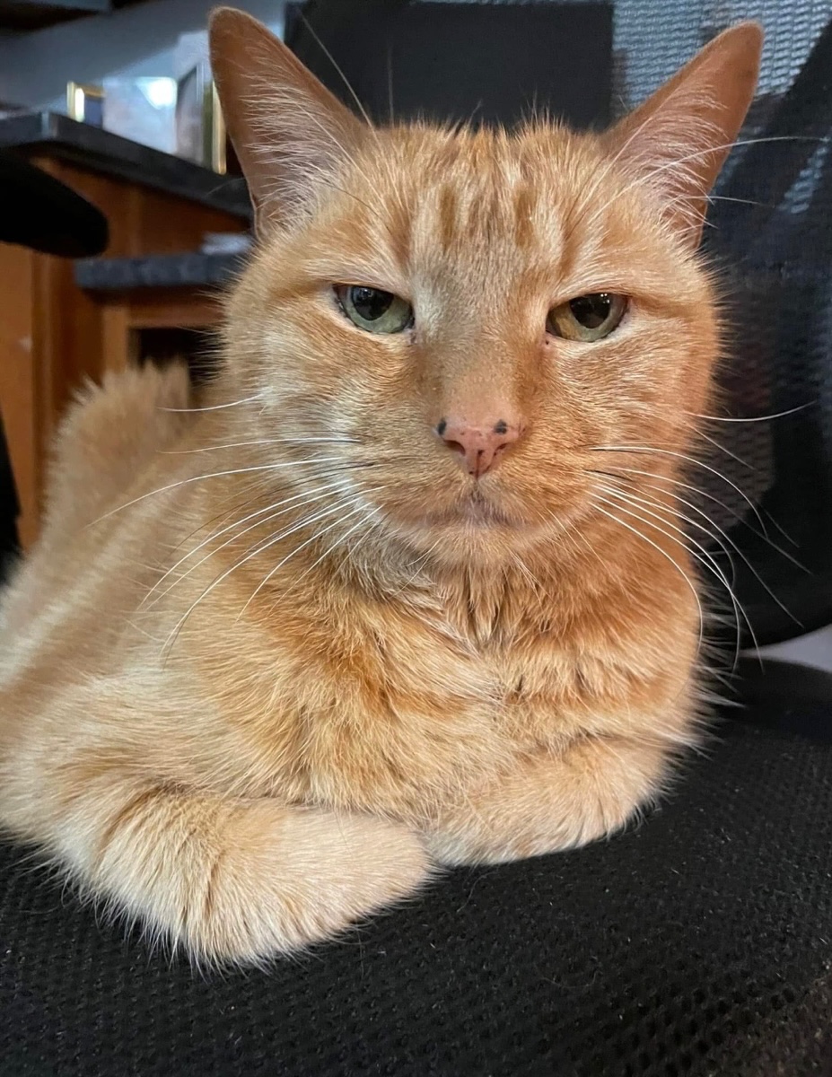 Bryan fishing photo alt 6