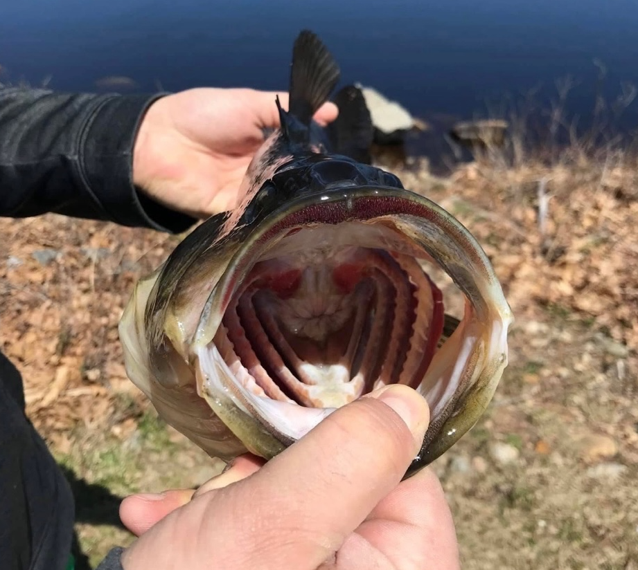Bryan fishing photo 1